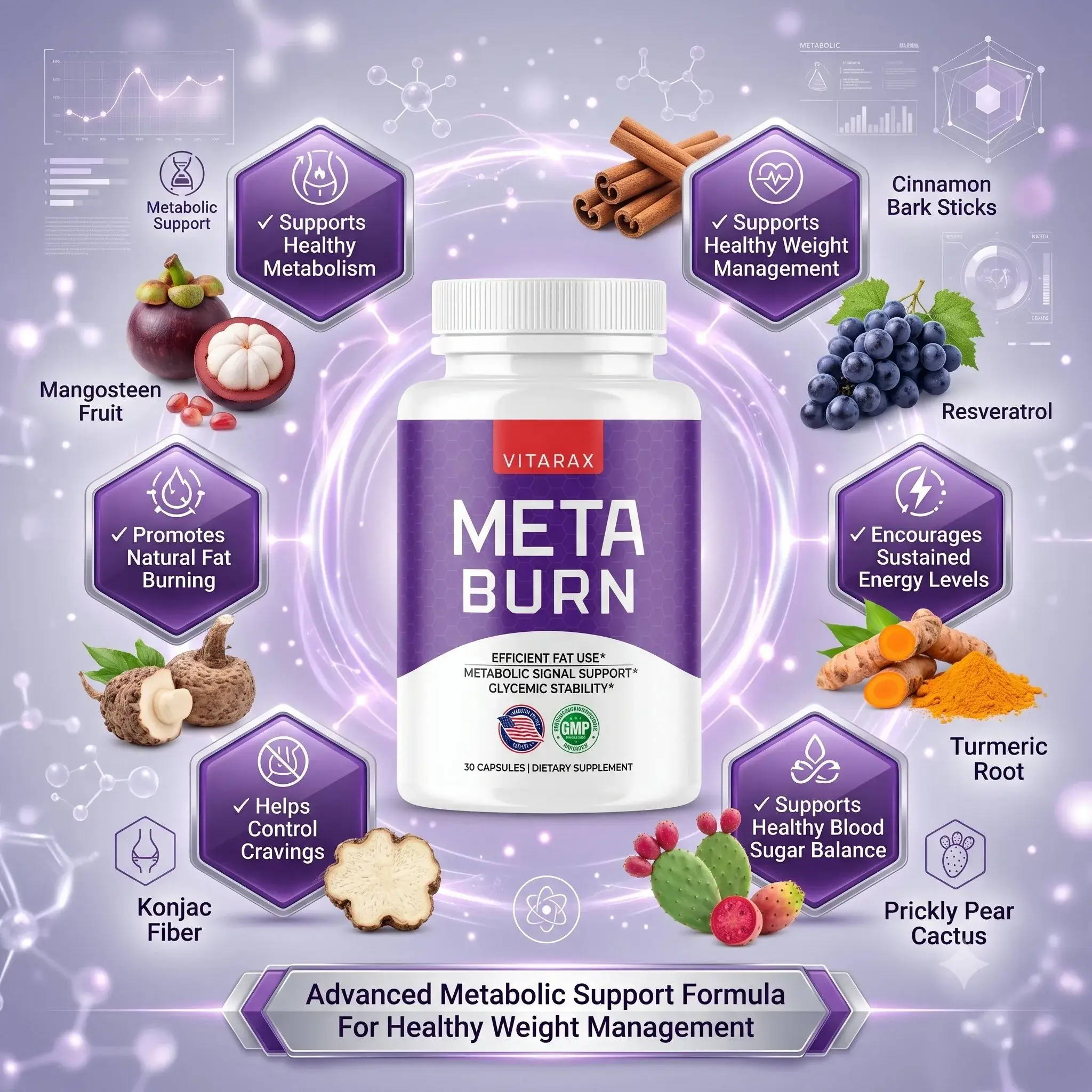 metaburn-one-bottle-image